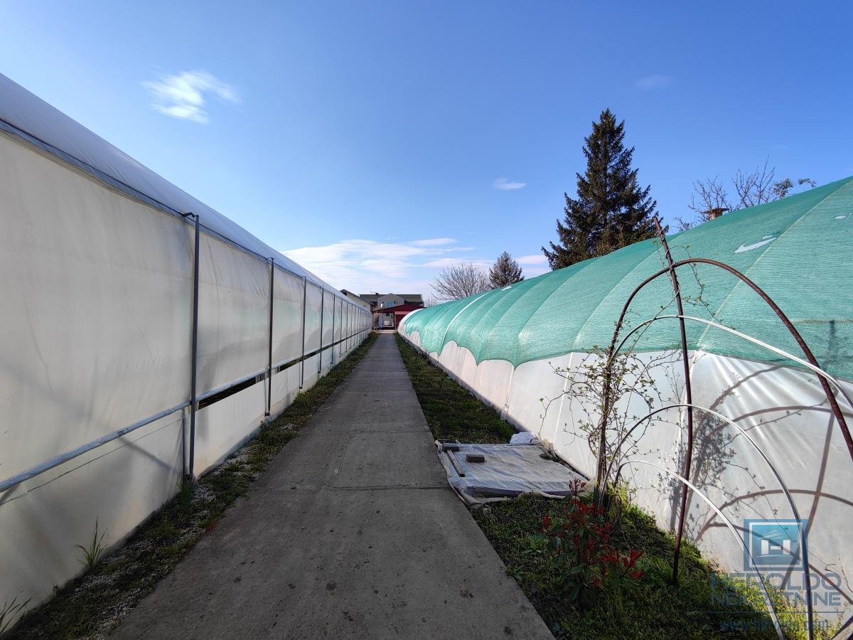 Kuća sa velikim placem 8