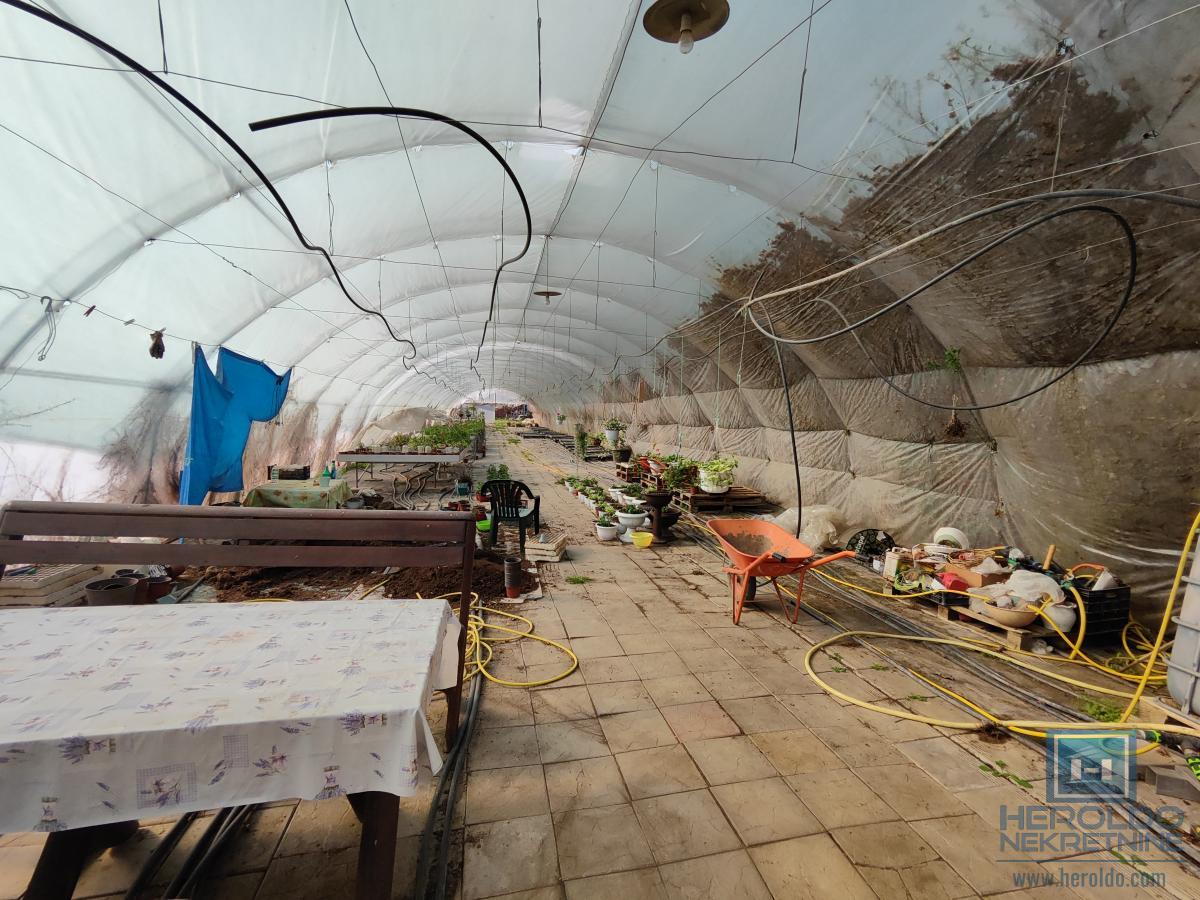 Kuća sa velikim placem 9