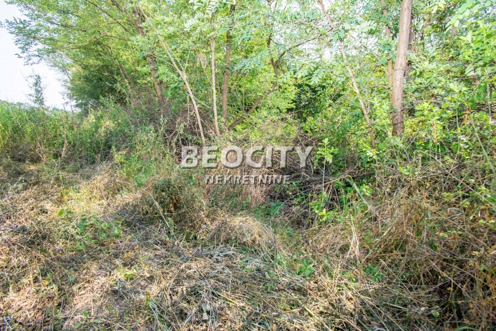 Plac, Sopot, Put za Parcane ID: 111349 8