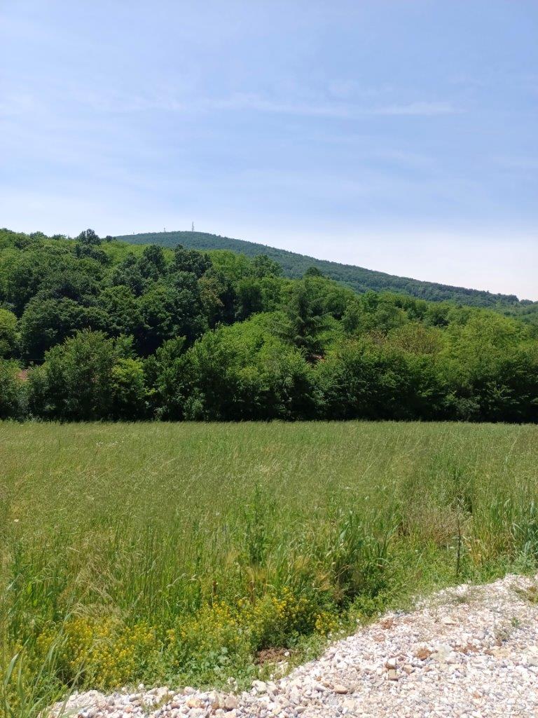 Kosmaj izuzetan plac 13 ari sa pogledom 3