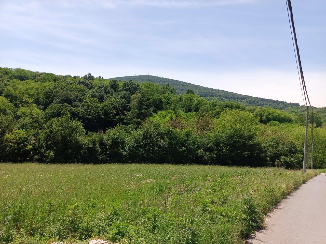 Kosmaj izuzetan plac 13 ari sa pogledom 4