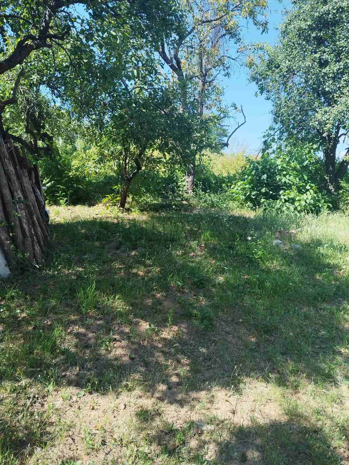 Plac, Palilula, Gabrovački put ID: p-012068 2