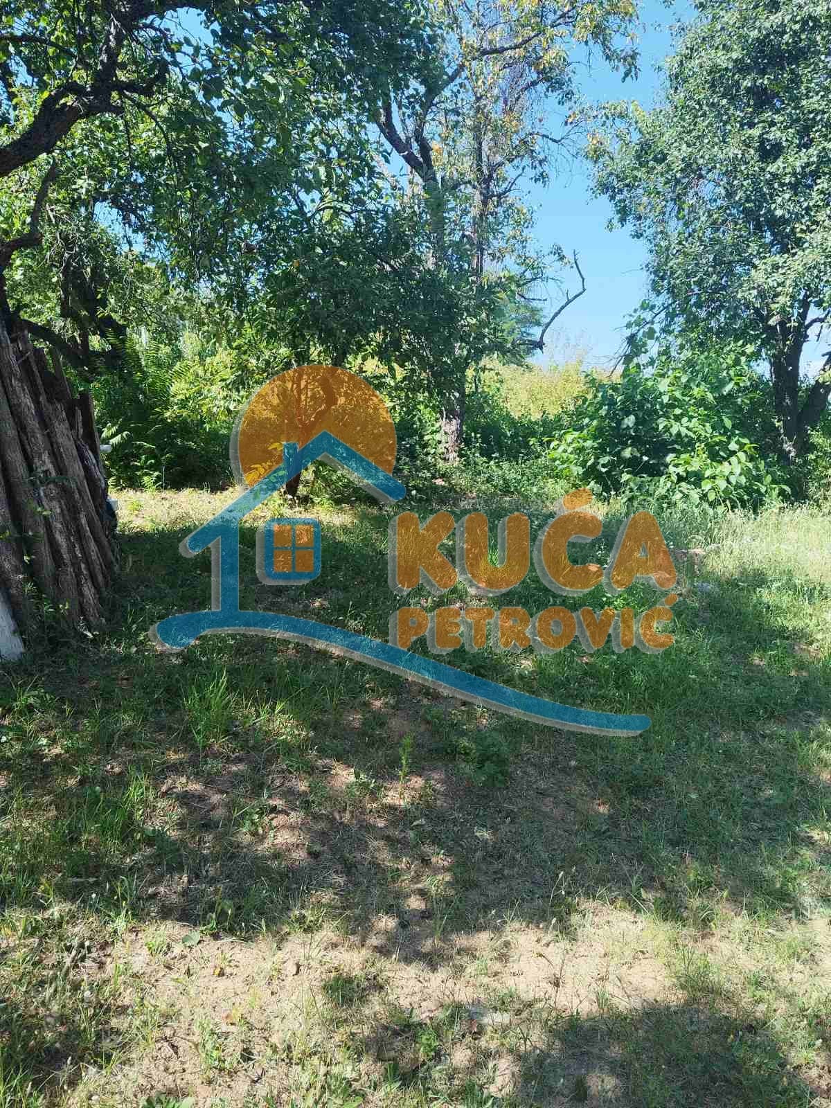 Plac, Palilula, Gabrovački put ID: p-012068 2