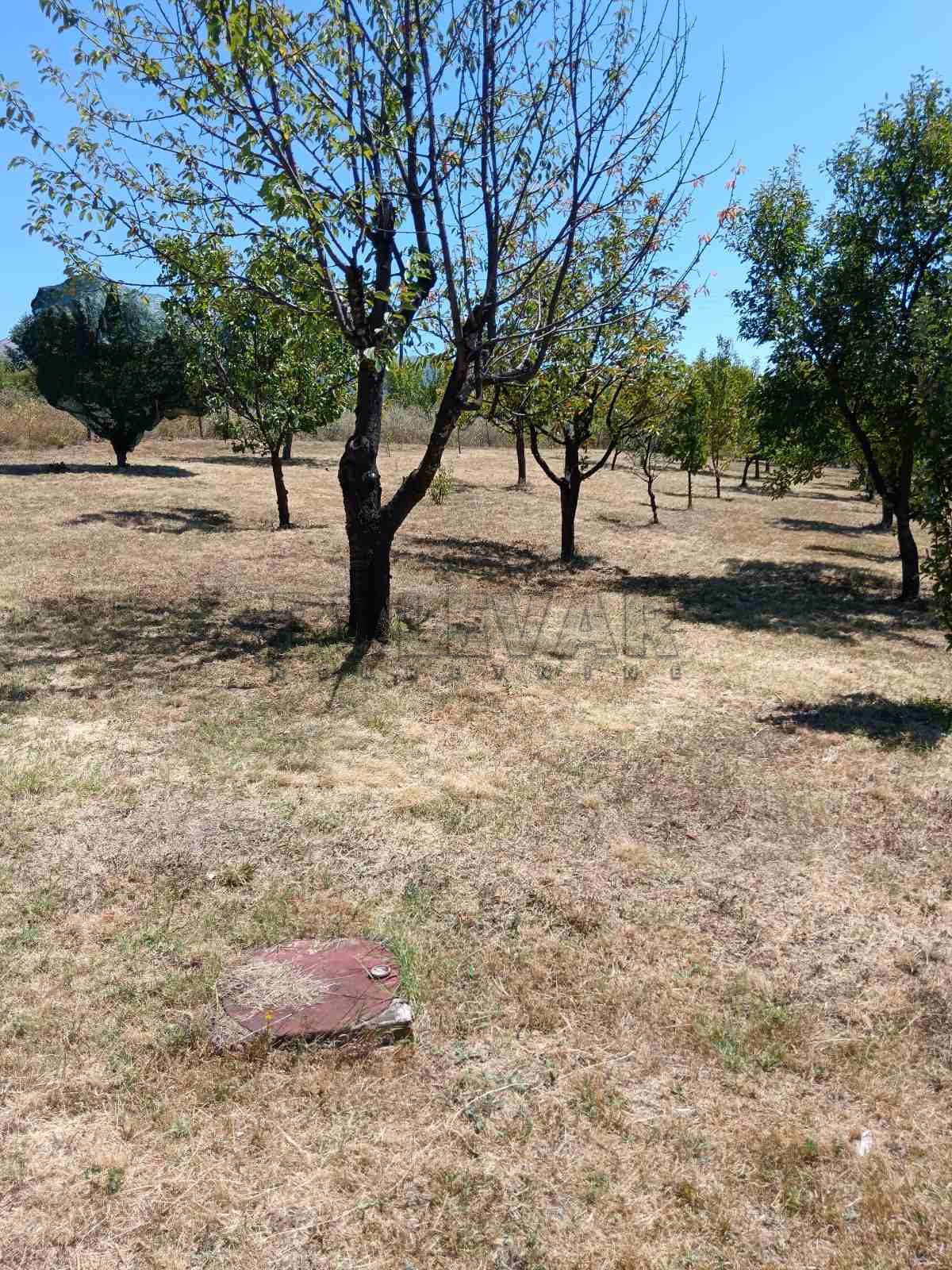 Dvosobna kuća, 93 m2, Duga Poljana, Duga Poljana ID: p-012090 12