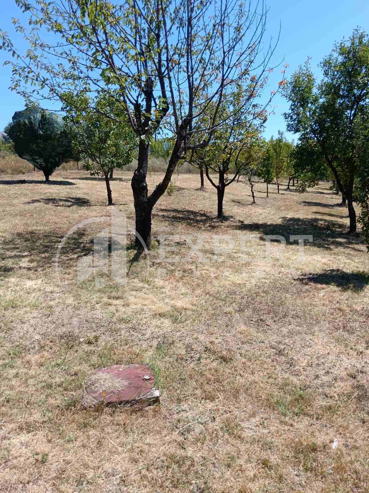 Dvosobna kuća, 93 m2, Duga Poljana, Duga Poljana ID: p-012090 12