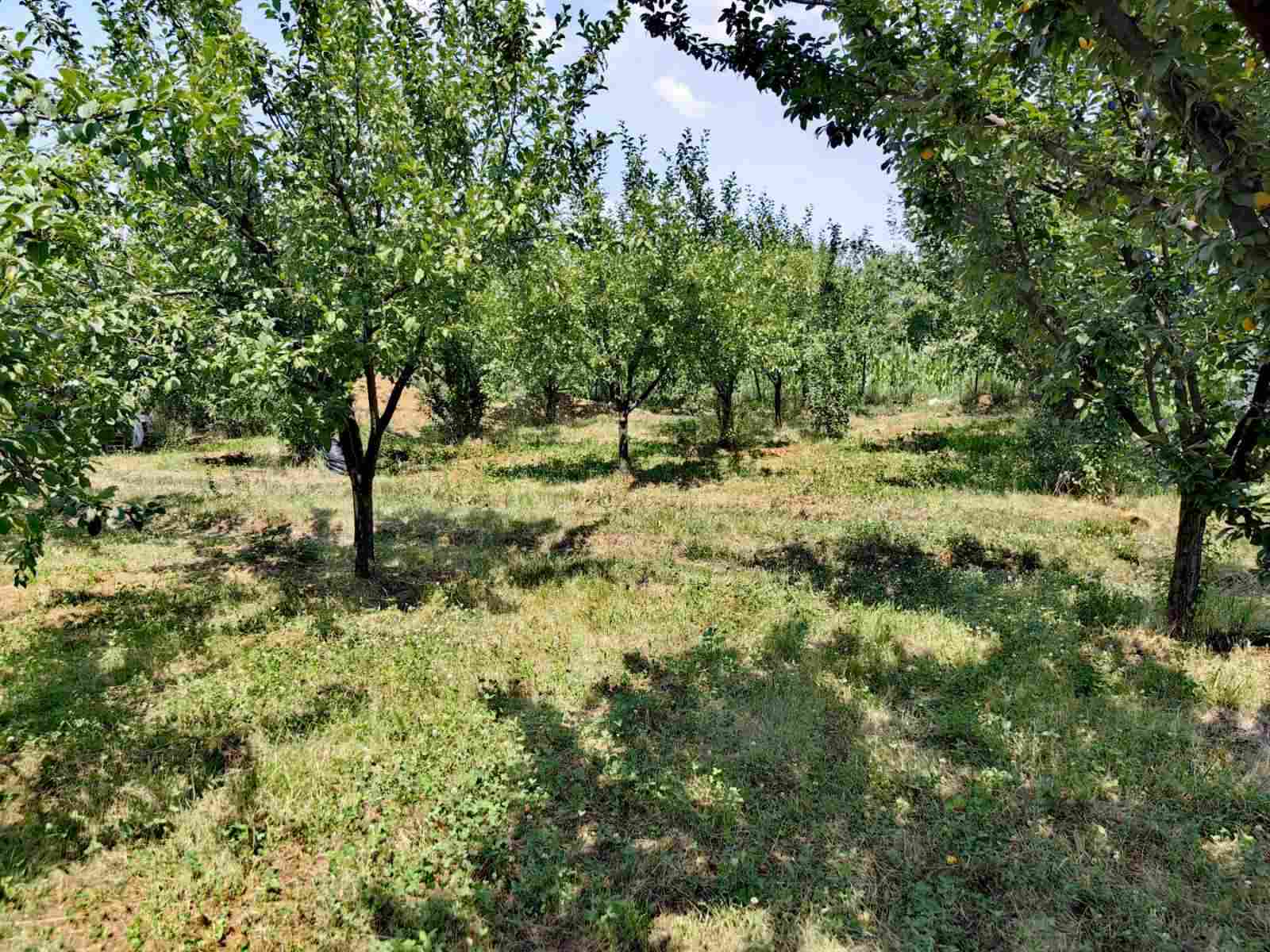 Plac od 19ari ispod Avale sa 2 nedovrsena objekta 4