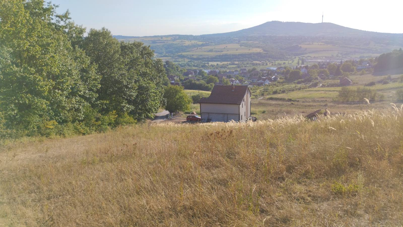 Plac 50ari sumsko zemljiste Transped 3