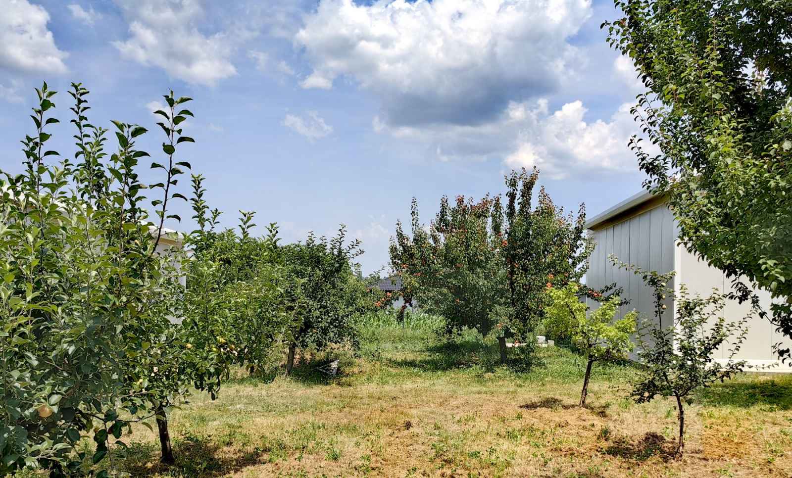 Plac od 19ari ispod Avale sa 2 nedovrsena objekta 5