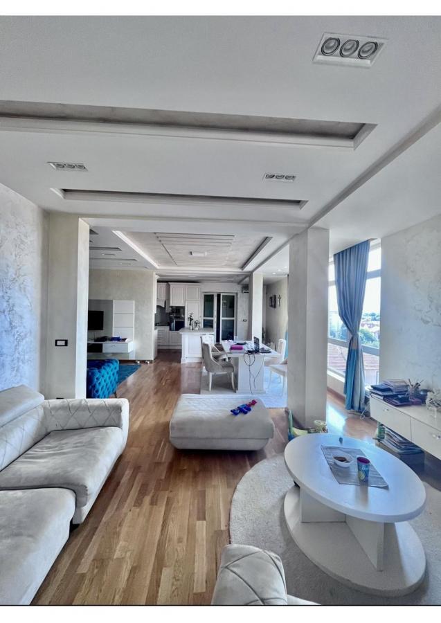 Fenomenalan Penthaus kod Akva parka sa pogledom na ceo grad 5