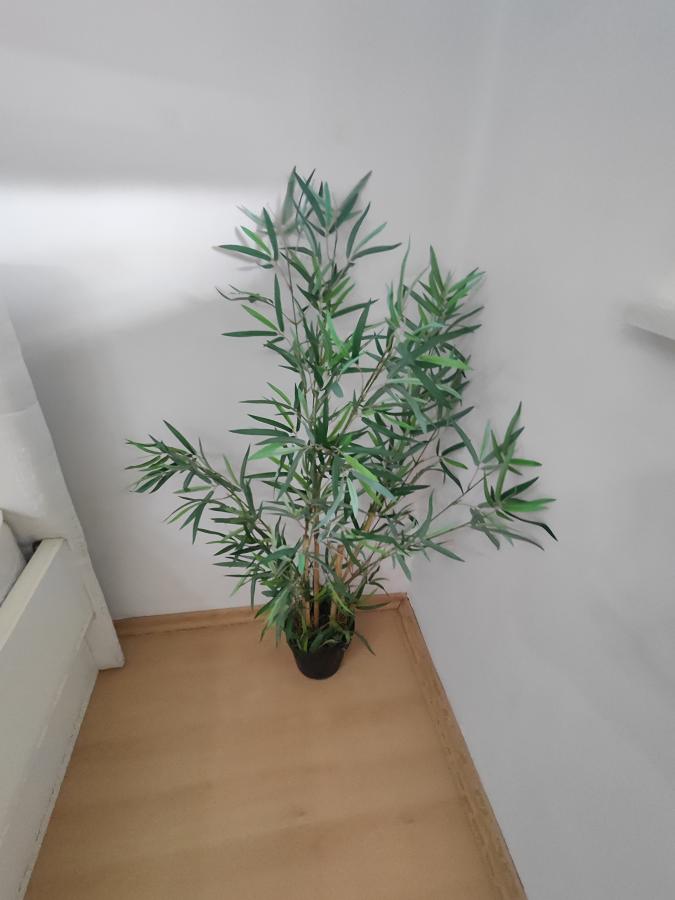 Namešten jednosoban stan kod Maksija/Tabane 8