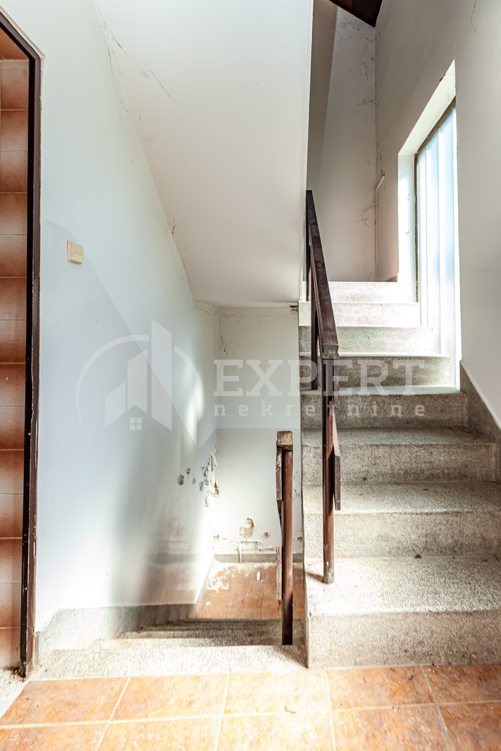 Lokal, 270 m2, Palilula, Igmanska ID: i-012157 9