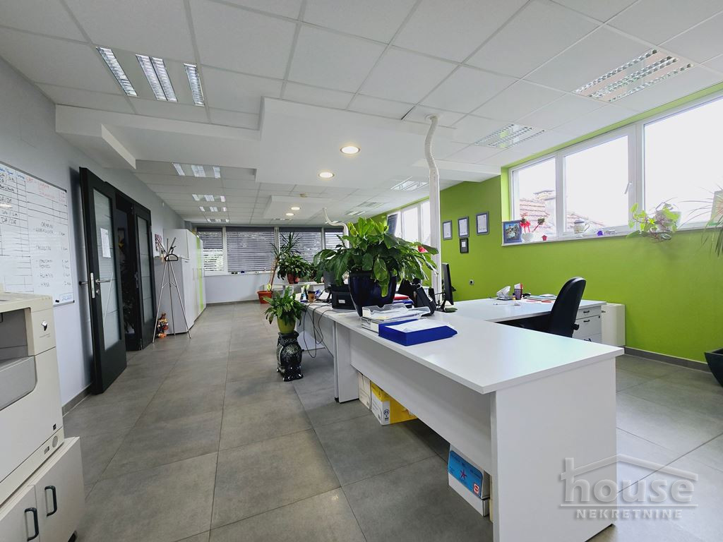 Lokal,NOVI SAD,TELEP 556m2,1545000€ , ID: 8091749 11