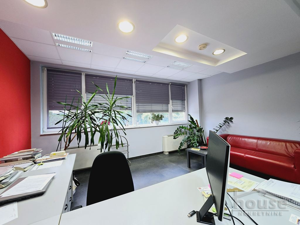 Lokal,NOVI SAD,TELEP 556m2,1545000€ , ID: 8091749 17