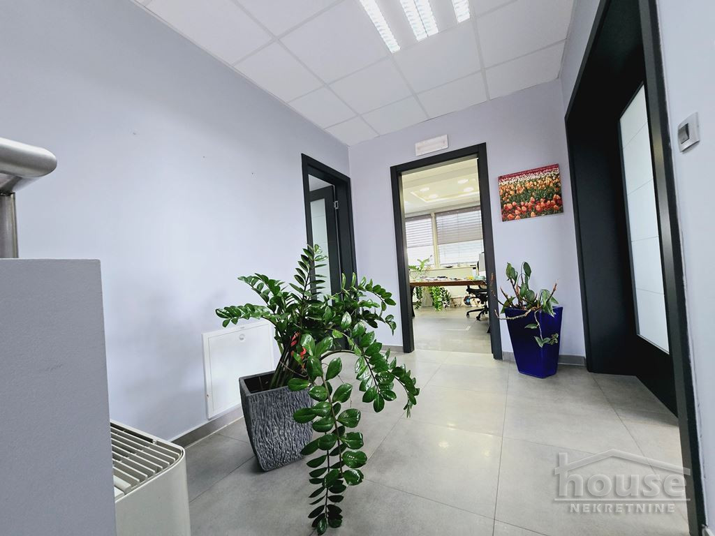 Lokal,NOVI SAD,TELEP 556m2,1545000€ , ID: 8091749 26