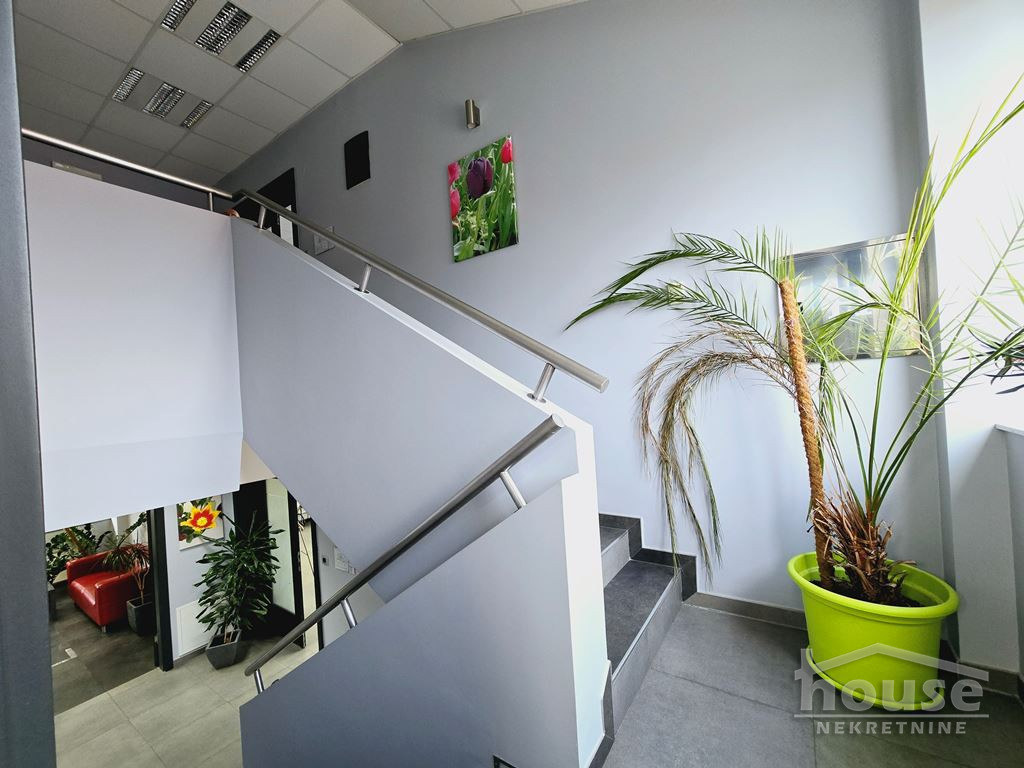 Lokal,NOVI SAD,TELEP 556m2,1545000€ , ID: 8091749 22