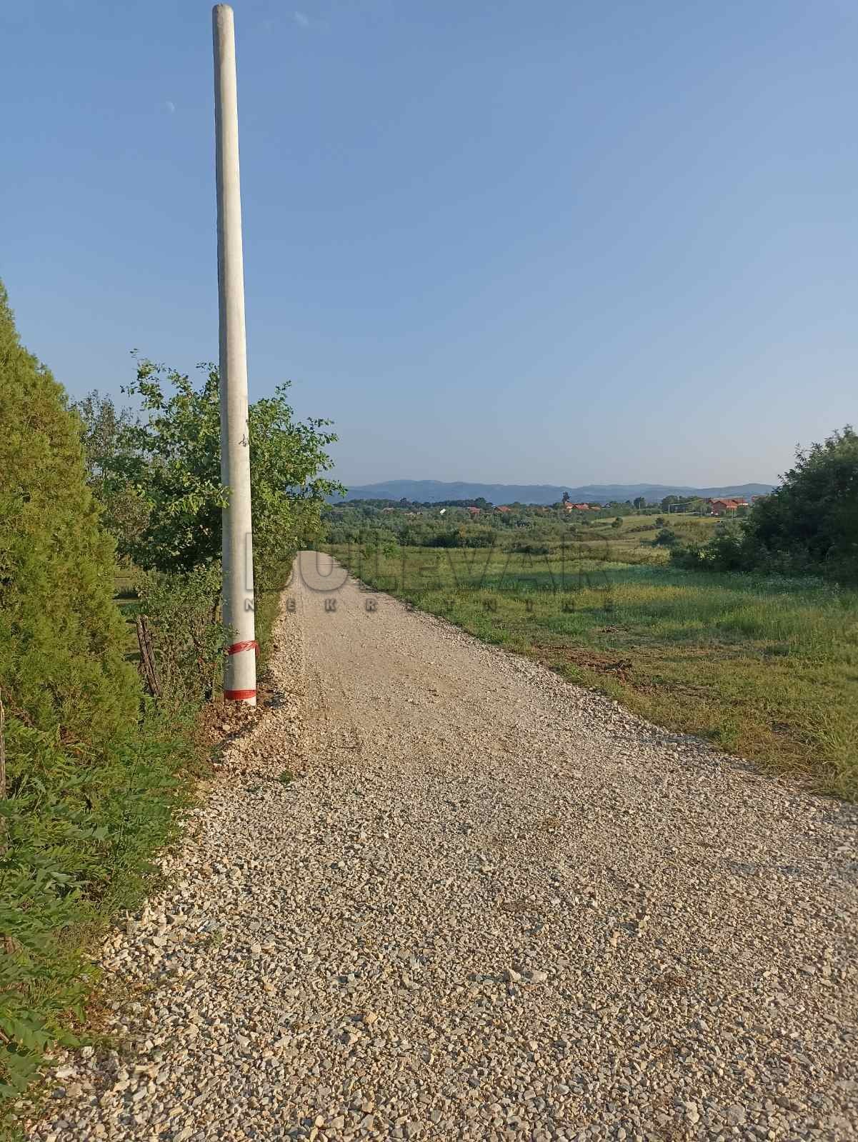 Plac, Šumarice, Lovačka ID: p-012172 4