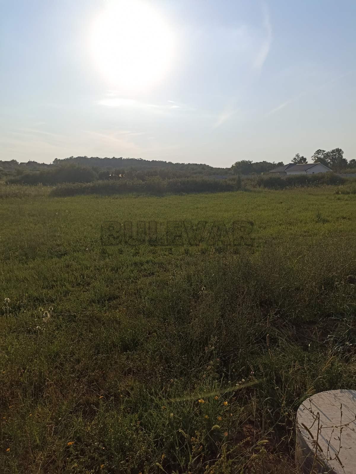 Plac, Šumarice, Lovačka ID: p-012172 5