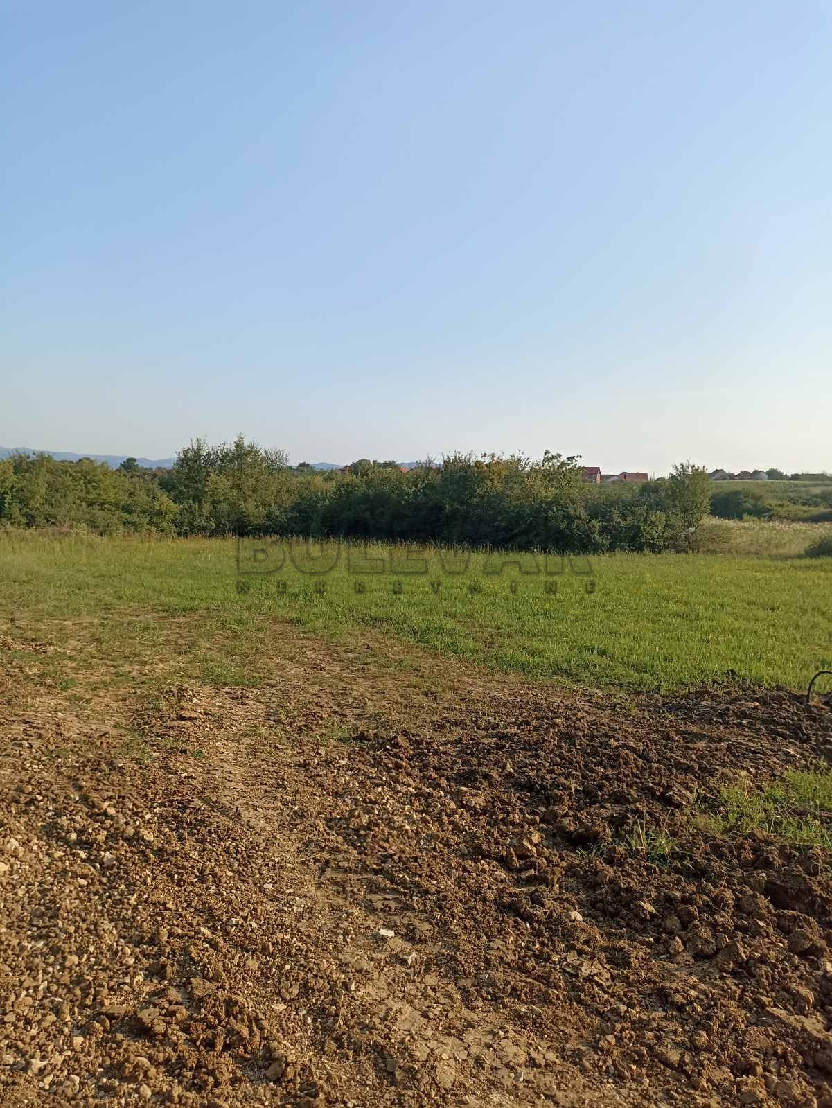 Plac, Šumarice, Lovačka ID: p-012172 7