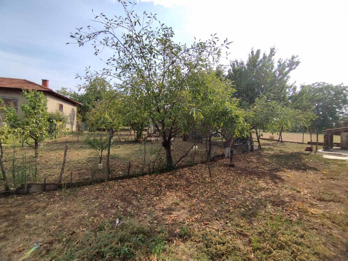 Dve kuce sa velikim placem 26