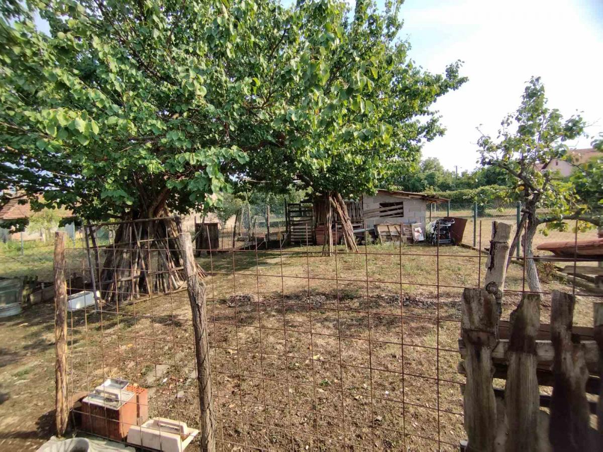 Dve kuce sa velikim placem 37