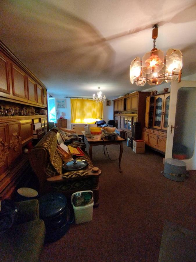 Dve kuce sa velikim placem 8