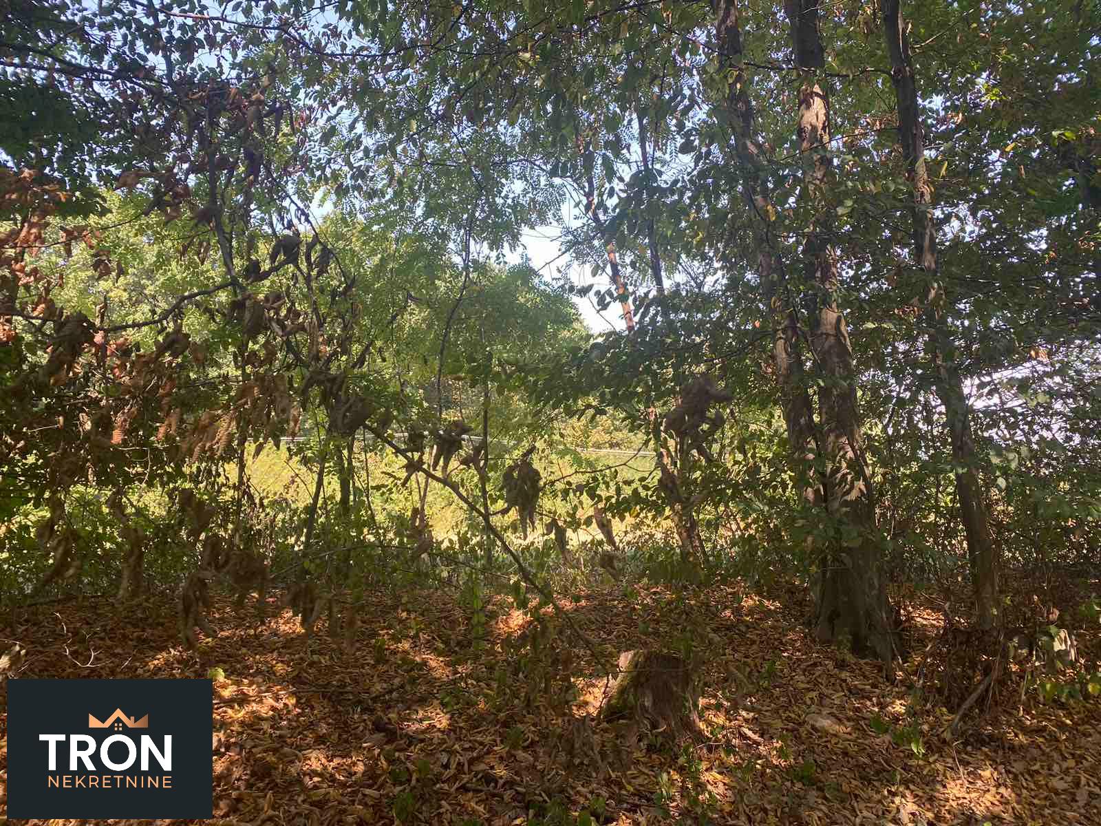 Poljoprivredni plac u Novom selu 5