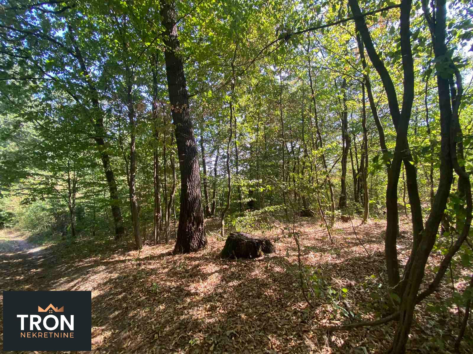 Poljoprivredni plac u Novom selu 3