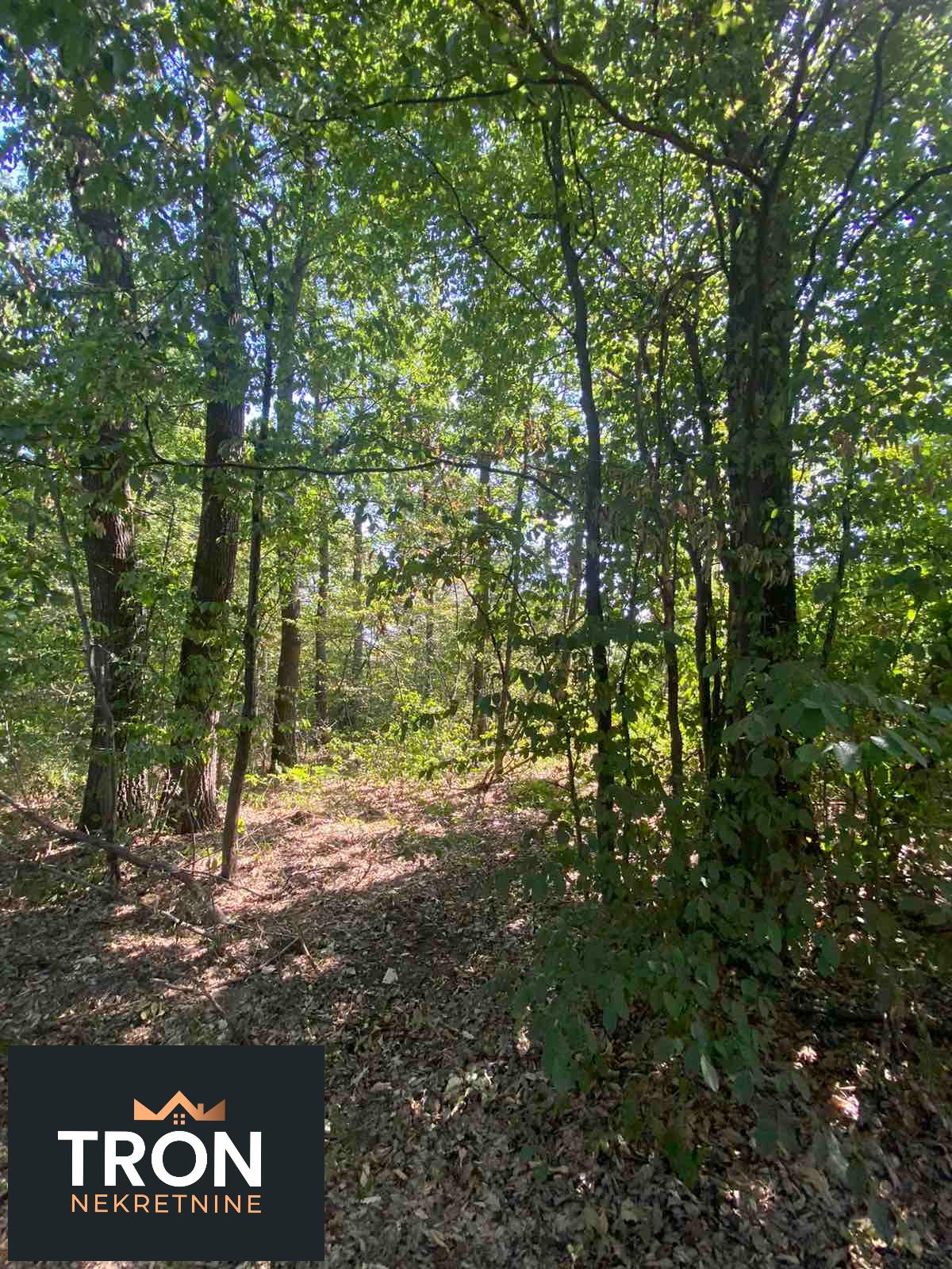 Poljoprivredni plac u Novom selu 2