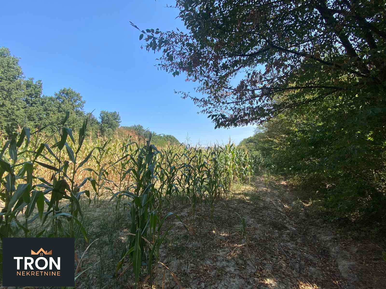 Poljoprivredni plac u Novom selu 4