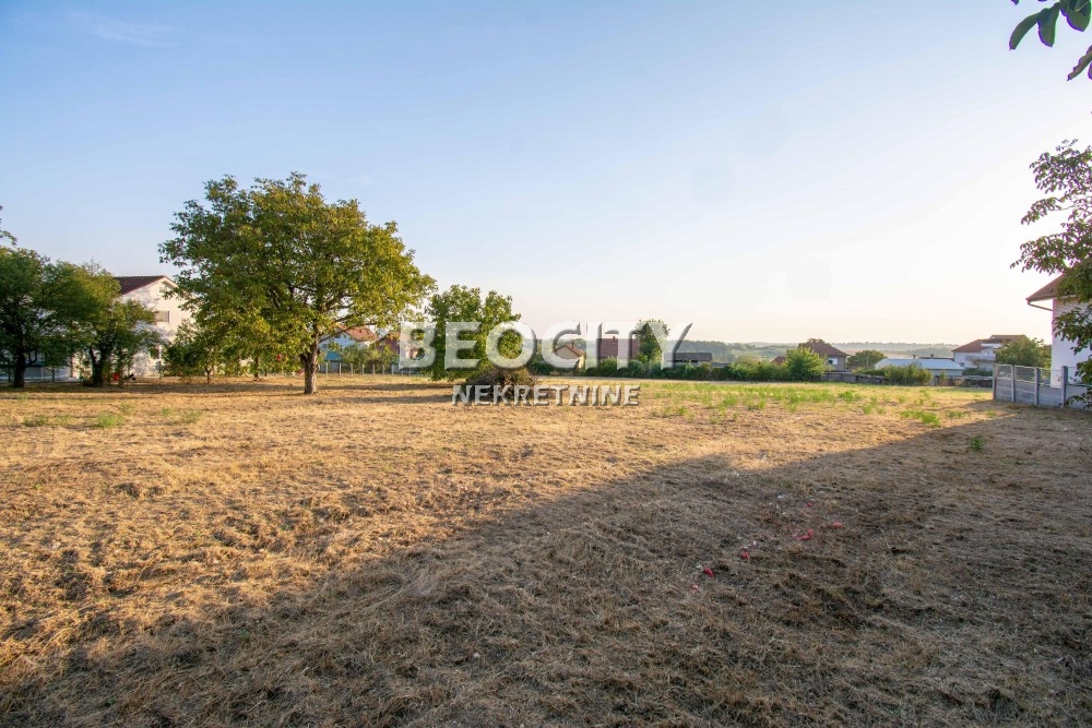 Plac, Sremčica, Beogradska ID: 112058 5