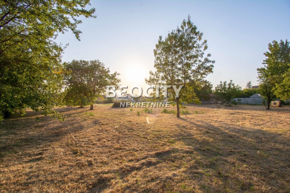 Plac, Sremčica, Beogradska ID: 112058 3