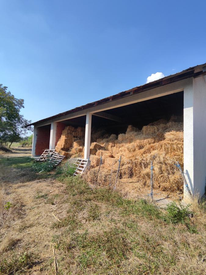 Seosko domaćinstvo u Kočinom selu na dobroj lokaciji 20