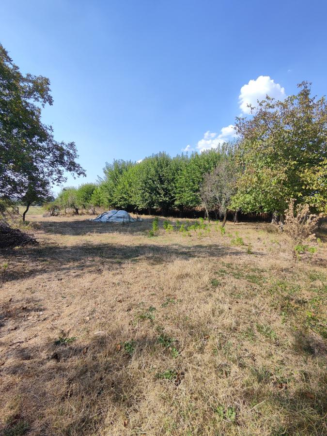 Seosko domaćinstvo u Kočinom selu na dobroj lokaciji 22