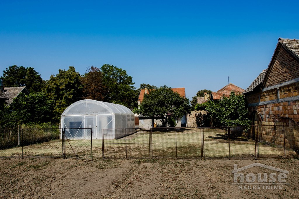 Kuca,NOVI SLANKAMEN,NOVI SLANKAMEN395m2,164800€ , ID: 3046361 13