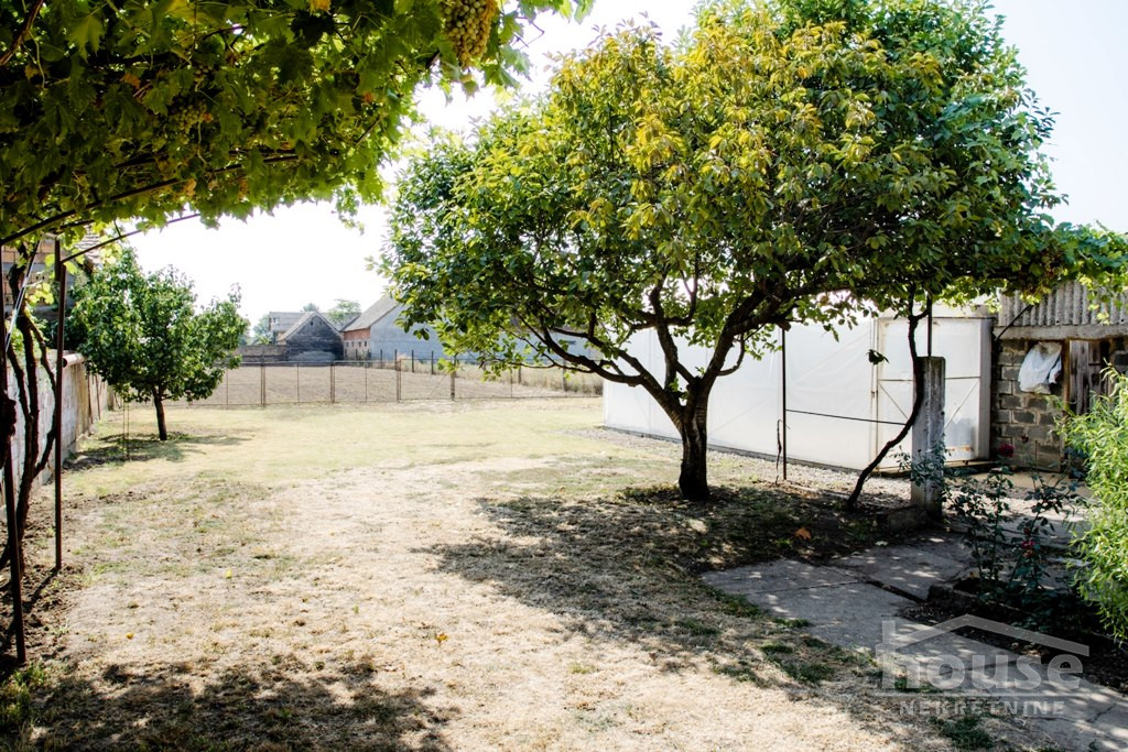 Kuca,NOVI SLANKAMEN,NOVI SLANKAMEN395m2,164800€ , ID: 3046361 11