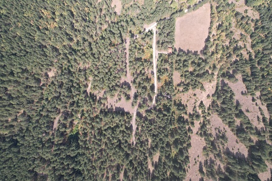 Na prodaju zemljiste ukupne povrsine 80 ari  Tometino polje   Divčibare 5