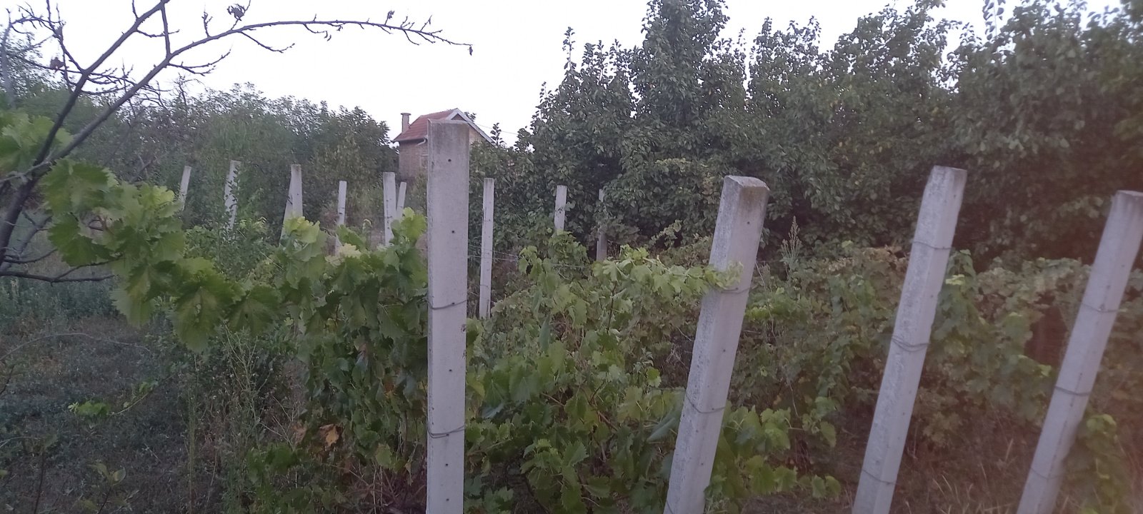 Prodajem kucu u Perlezu 5