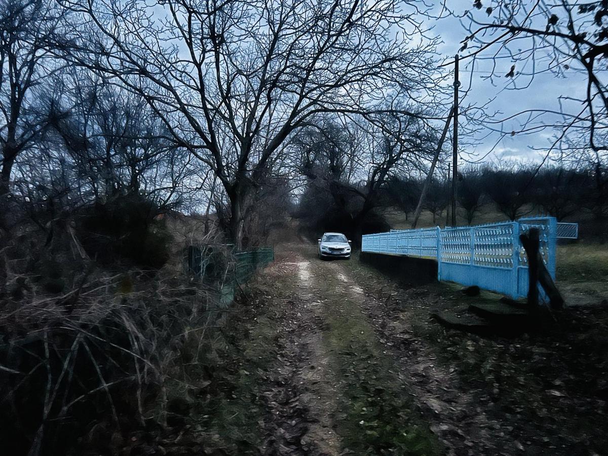 Kuća sa okućnicom i šumom od 1.6526 hektara 4