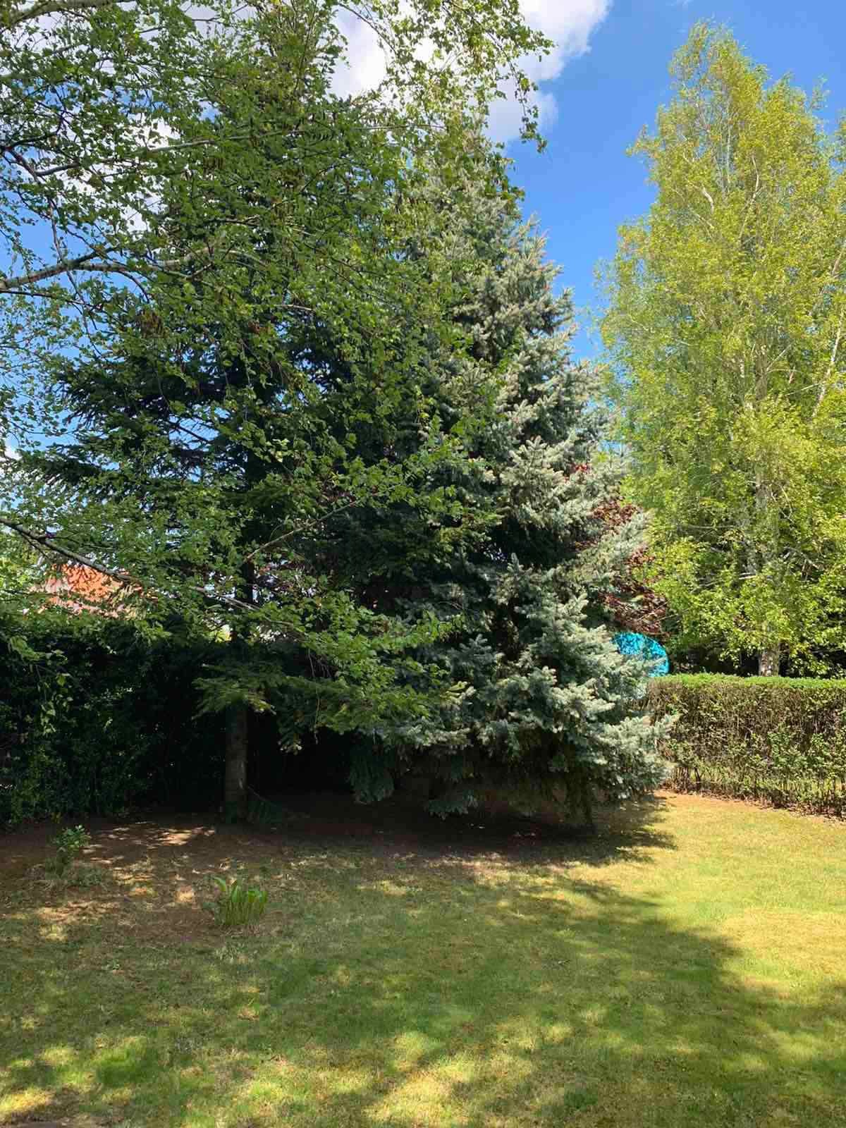 četvorosobna kuća, 290 m2, Pantelej, Jesenjinova ID: i-012325 36