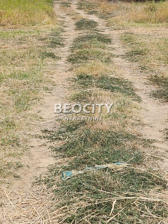 Plac, Sremčica, Bicin potok ID: 112173 7