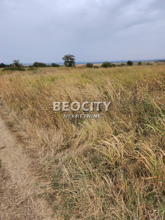 Plac, Sremčica, Bicin potok ID: 112173 3