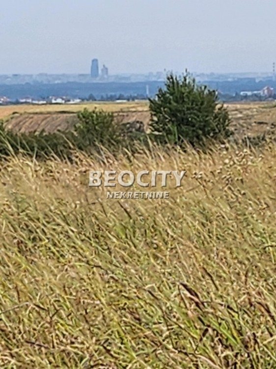 Plac, Sremčica, Bicin potok ID: 112173 4