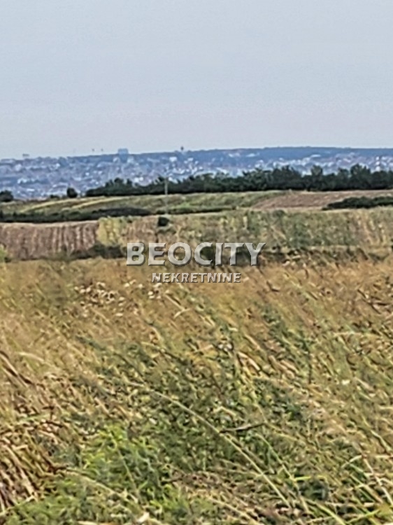 Plac, Sremčica, Bicin potok ID: 112173 5