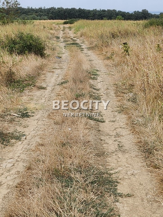 Plac, Sremčica, Bicin potok ID: 112173 6