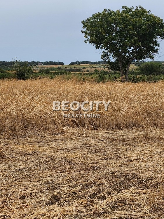 Plac, Sremčica, Bicin potok ID: 112174 1