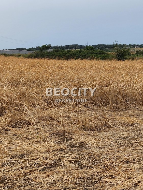 Plac, Sremčica, Bicin potok ID: 112174 2