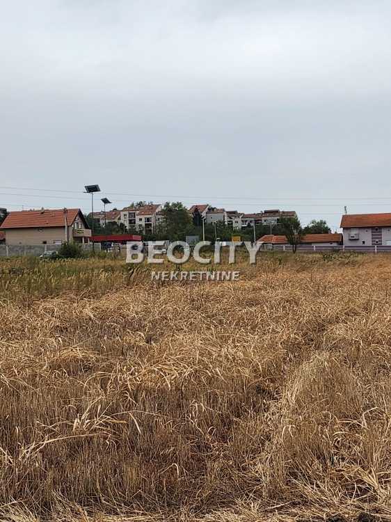 Plac, Sremčica, Bicin potok ID: 112174 3
