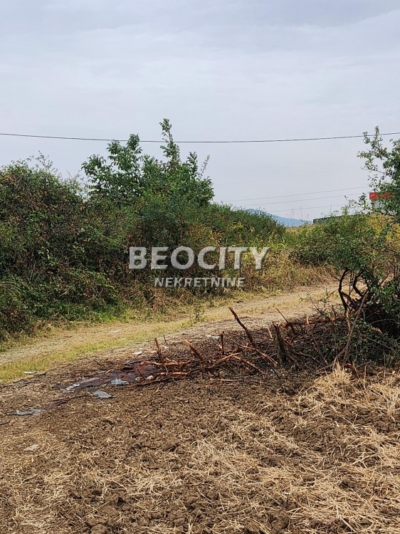 Plac, Sremčica, Bicin potok ID: 112174 4