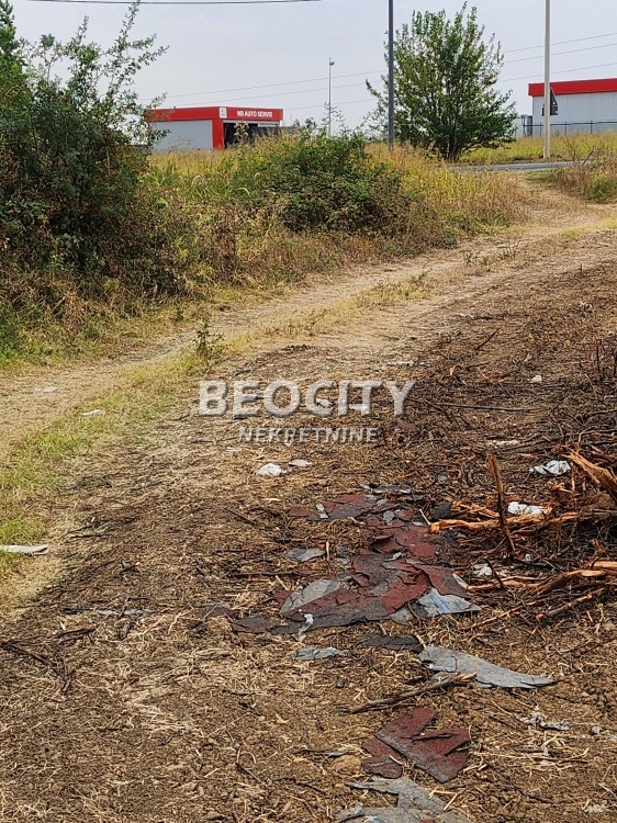 Plac, Sremčica, Bicin potok ID: 112174 5