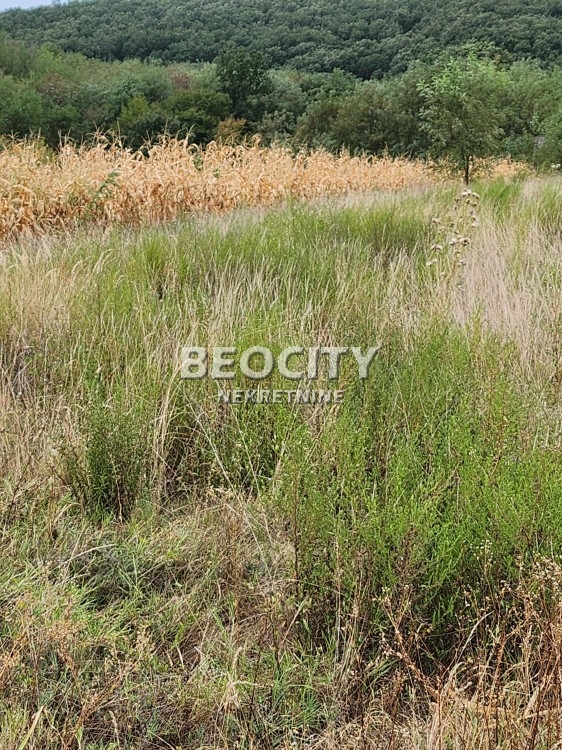 Plac, Sremčica, Kukinje njive ID: 112168 1